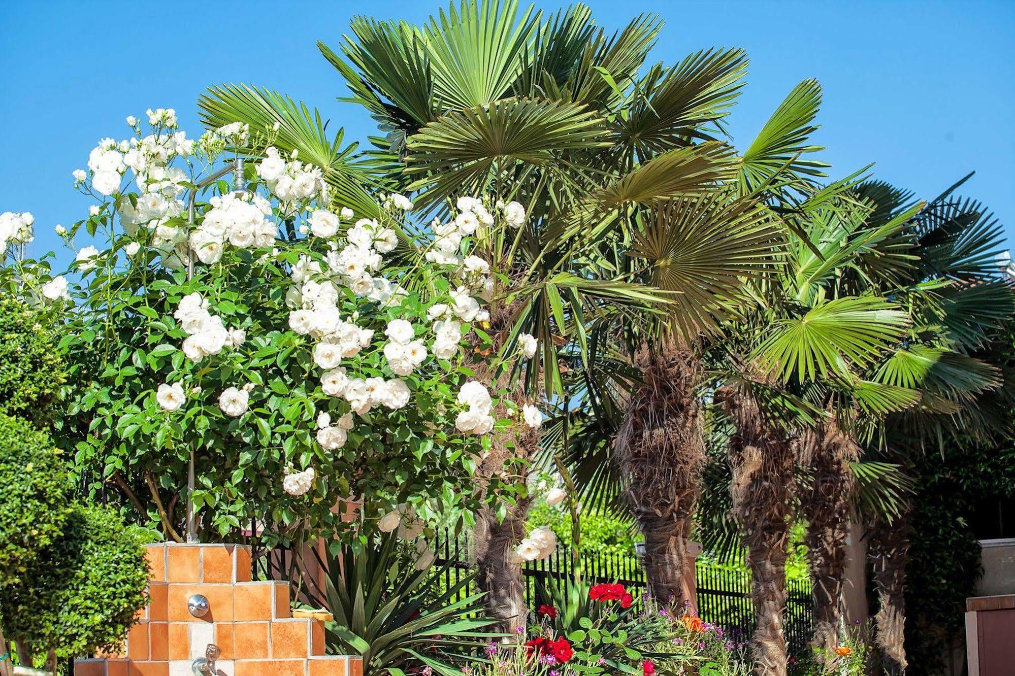 Ferienwohnung Casa Di Mare Poseidon Olympiakí Aktí Exterior foto